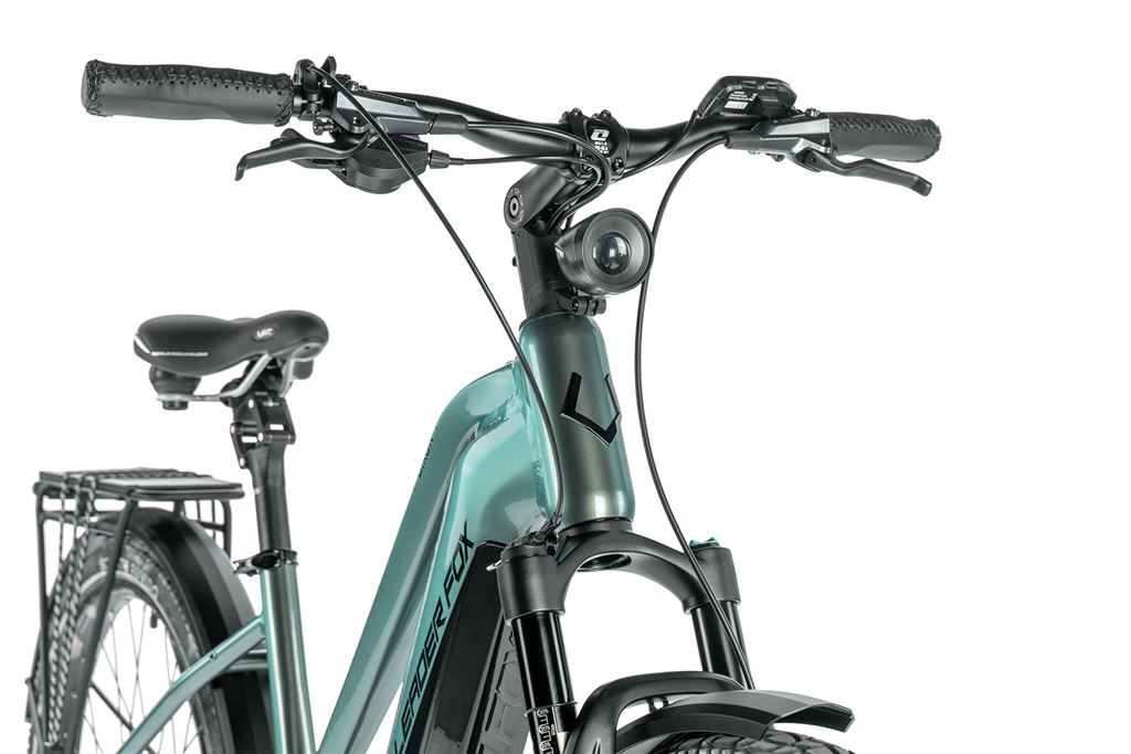 E-BIKE DIXON LADY 29,20-1, GREEN BOTTLE (PANASONIC)