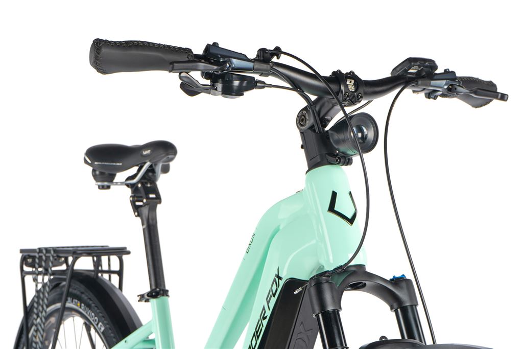 E-BIKE DIXON LADY 29,20-3, GREEN LIGHT (PANASONIC)