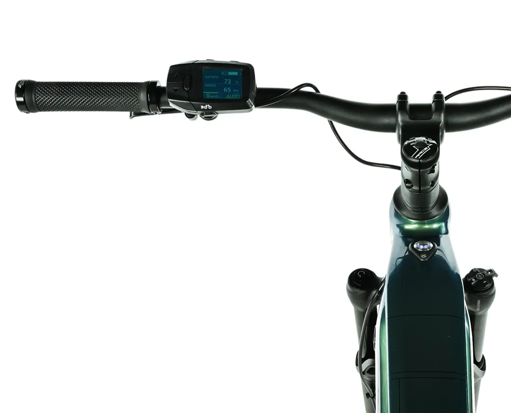 E-BIKE AYRA FULL.SUSP 29, 17,5-1,  GREEN BOTTLE (PANASONIC)