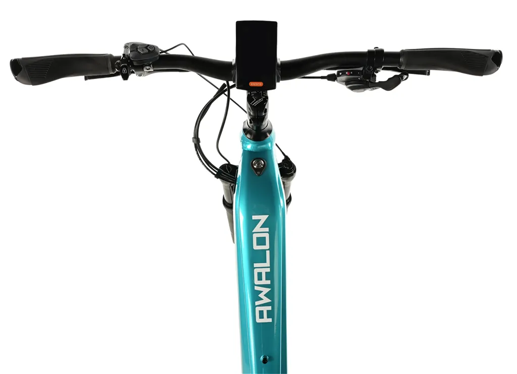 E-BIKE AWALON LADY 29, 18-2, LIGHT BLUE (M420)