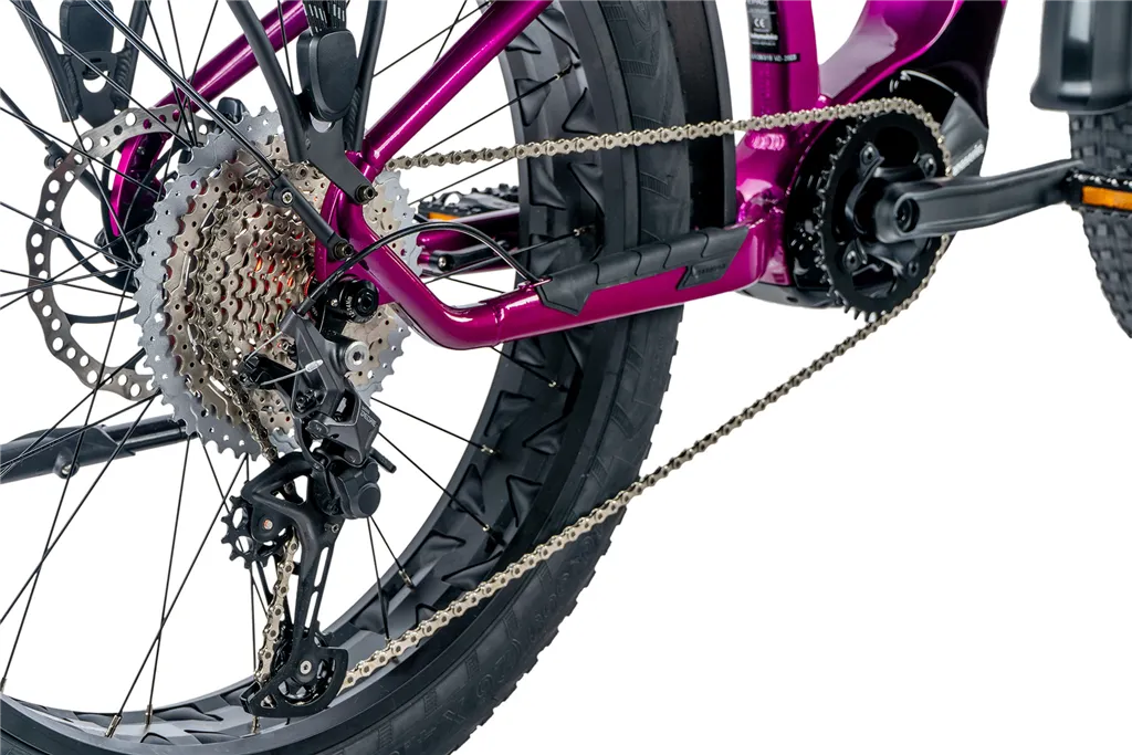 E-BIKE 26 BRASA,FAT BIKE,20-3, VIOLET SHINY (PANASONIC)